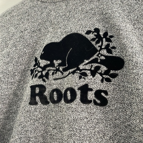 ROOTS CANADA kids grey hoodie sweatshirt beaver logo Large L - Picture 2 of 5